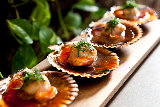 Amaz-LATAM-2018-DISH1